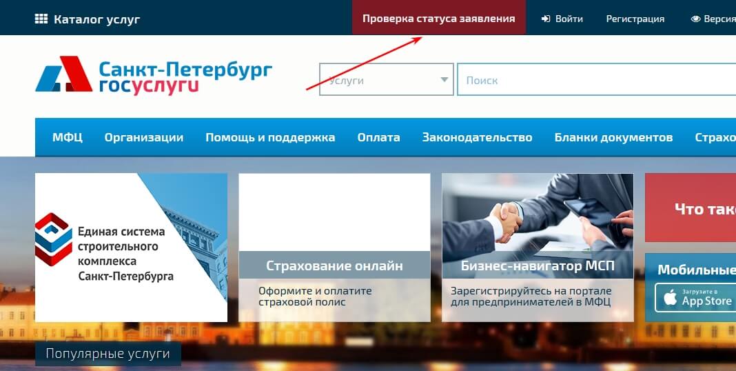 Mfc ru проверить статус документа